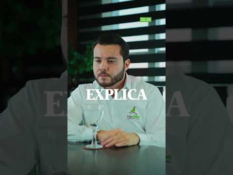 Por que MS é polo de celulose e eucalipto?