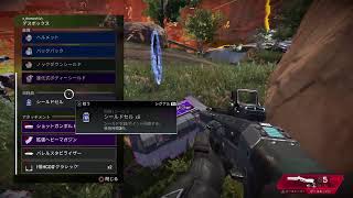 一月ぶりのApex