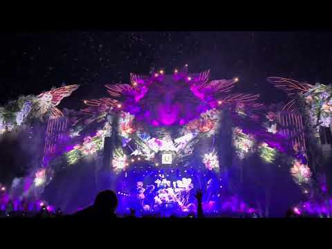 Martin Garrix - Smile (feat. Carolina Liar) @ live Untold Music Festival