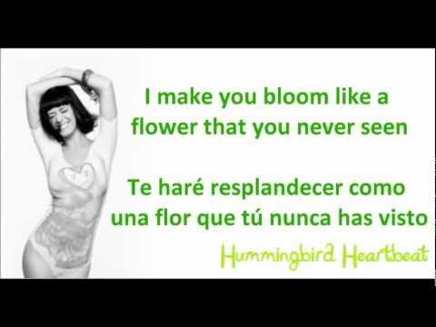 Hummingbird heartbeat - Katy Perry (Traducción INGLÉS-ESPAÑOL)
