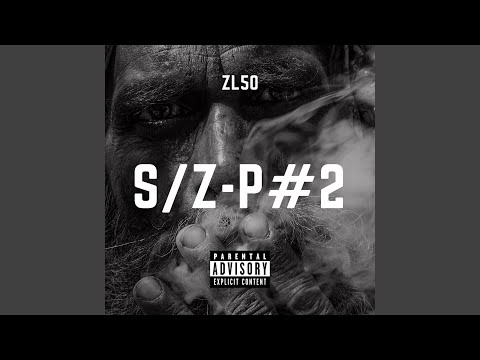 S/Z-P #2
