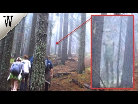 Terrifying IMAGES CAPTURED BY ACCIDENT (UPDATED)