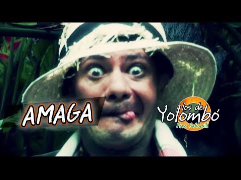 Amagá - Los De Yolombó l Video Oficial