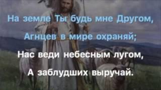 Как овечку, Пастырь сильный