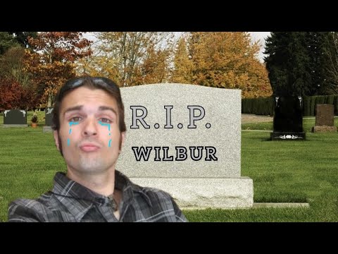 Wilbur gone but not forgotten