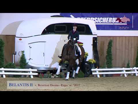 Belantis II v. Benetton Dream - Expo'se - Sandro Hit