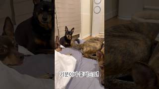 그녀의 이름은 밍키
