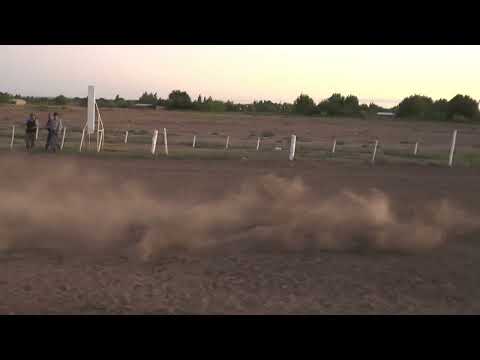 FINOLA Club Hipico "Cabo Alarcon" - Picun Leufu  -  15-01-2023