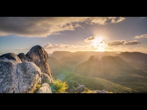 Por Todo Lugar - Silvestre Kuhlmann