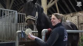 Maak kennis met Nano CellCare partner: W&L EquiCare