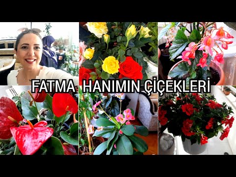 , title : 'FATMA HANIMIN ÇİÇEKLERİ 🪴🌹#çiçekseverler'