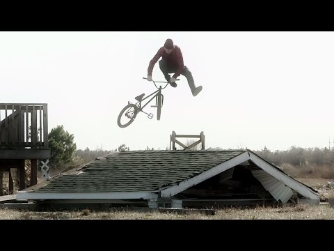 Dan Foley - Dynamics