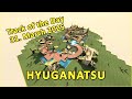 HYUGANATSU World Record By Roquett TRACKMANIA Track Of The Day