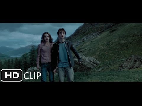 The Whomping Willow | Harry Potter and the Prisoner of Azkaban