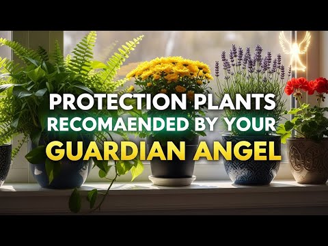 The 12 PROTECTION PLANTS Your GUARDIAN ANGEL Recommends HAVING (Never Underestimate Them!)