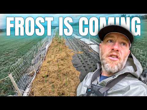 Protecting Your Harvest: Frost Solutions for Growers