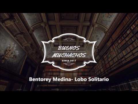 Bentorey Medina  Lobo Solitario