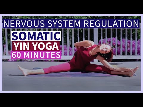 Somatic Exercises + Yin Yoga + Nervous System Regulation Techniques 60 minutes