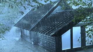 Sleep Background Sounds with violent Rain & Power Thunder on Tin Roof in Stormy Forest at Night