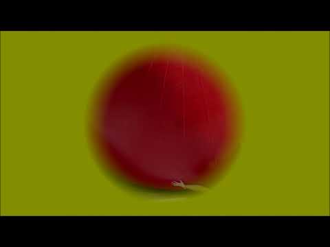 Red Rubber Ball  THE CYRKLE  (with lyrics)