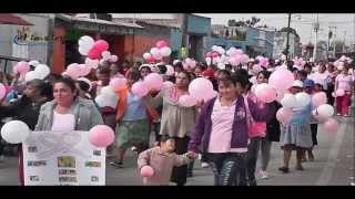 preview picture of video 'Almoloya Hidalgo -  Caminata de la lucha contra el cancer uterino y de mana'