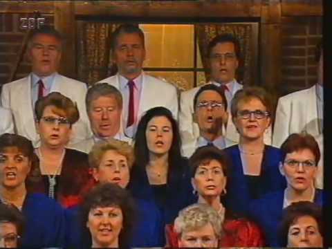 Lustige Musikanten - Finale / Frühlingsmedley (1995)