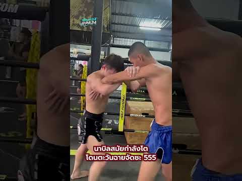 ตะวันฉายซ้อมปล้ำให้ นาบิล ร่างละอ่อน ยังโตไม่เต็มที่เลยตอนนั้น 555 #นาบิล #ตะวันฉาย