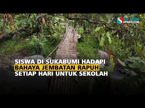 Siswa di Sukabumi Hadapi Bahaya Jembatan Rapuh Setiap Hari untuk Sekolah