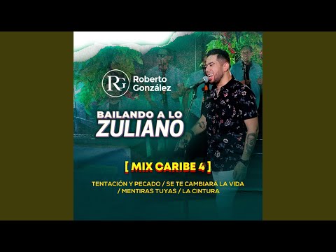 Mix Caribe 4 : Tentación y Pecado / Se Te Cambiará La Vida / Mentiras Tuyas / La Cintura...