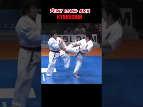 Kyokushin karate: feint round kick. #karate #kyokushin #mma