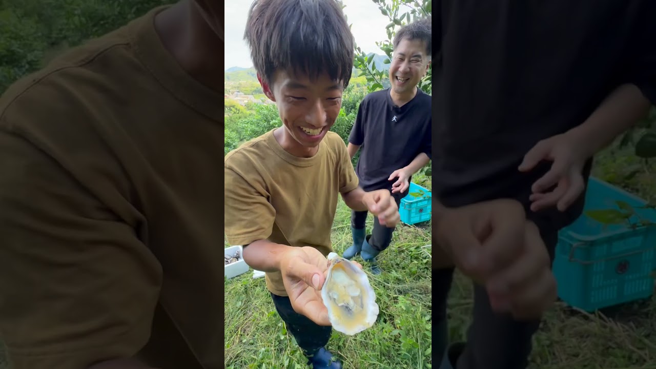 ミカンがもったいない！