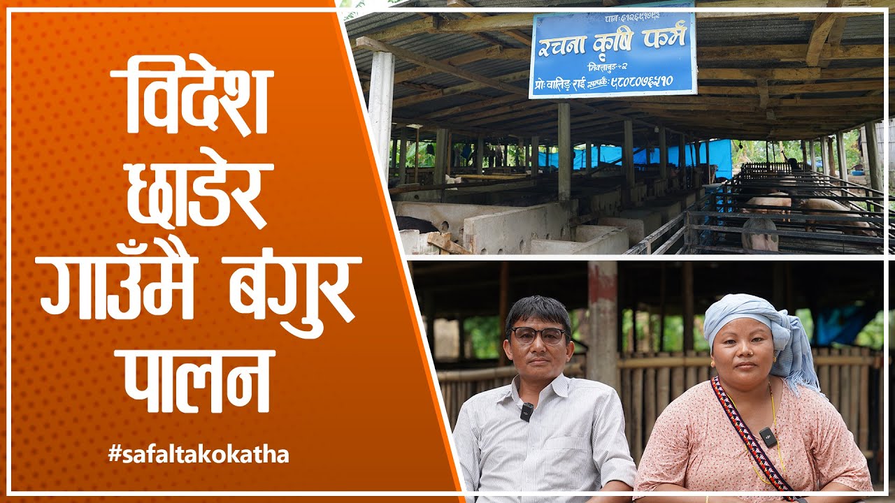 रचनामा रमाइरहेको जोडी II सफलताको कथा II