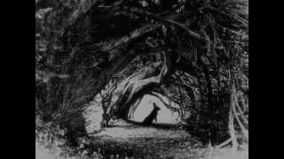 Fall of Efrafa - Simulacrum (with lyrics)