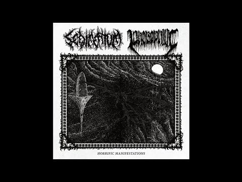 Sedimentum (Canada) / Phobophilic (US) - Horrific Manifestations (Split) EP 2020
