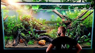 I Added Plants To My Self Balancing Ecosystem Aquarium And It CAME TO LIFE