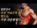 내가 고중량 프리웨이트 없이 각진 '가슴근육'을 만들 수 있었던 방법 (feat.아랫가슴)