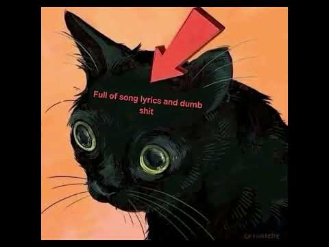 S'Habi (Stereomovers Remix) by Ali Slimani | African Music