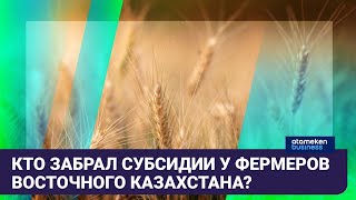 Кто забрал субсидии у фермеров Восточного Казахстана?