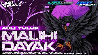 Download lagu DJ MALIHI DAYAK STYLE TJAP TASSO BASS HOREG ANDALAN BUAT CEK SOUND  mp3