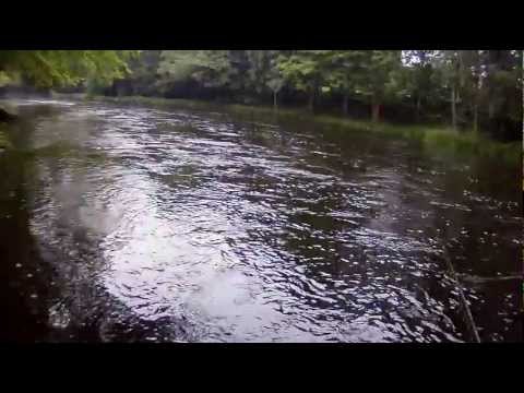 Fly fishing for big salmon - moments from the Mörrum River 2011. Catch and release by John