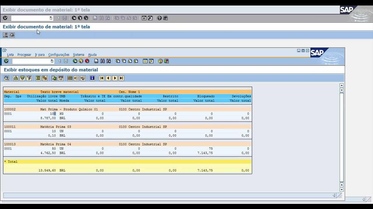 SAP MM - Processo de Inventário Físico