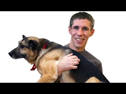 Панин и СОБАКА - БАБАКА