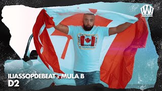 Mula - D2 video
