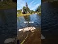 Mal-igator lazy swimming. Mirah likes feeling the ground when she cools off in the river.