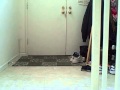 Leprechaun caught on video - YouTube