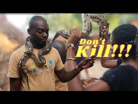 Surprising Magic Of The Voodoo Kingdom in Ouidah, Benin