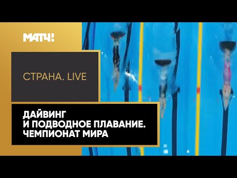 Плавание «Страна. Live». Дайвинг и подводное плавание. Чемпионат мира. Специальный репортаж