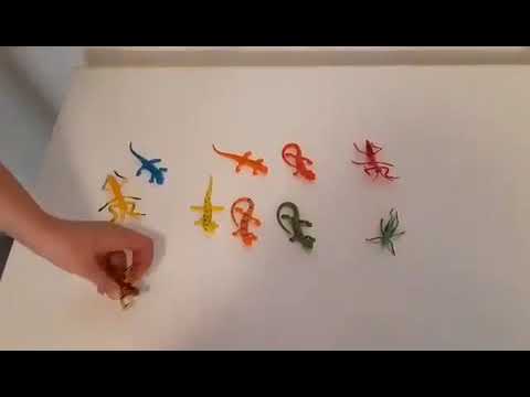 Visit to the Prague Zoo- detest and enjoy