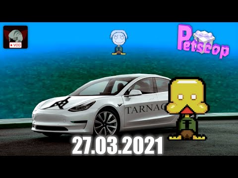 Revisionnage de Petscop : End of Petscop (avec Enzoul)