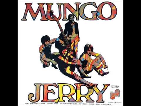 11. Mother F#%#!r Boogie - Mungo Jerry Stereo 1970